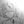 Milgram| Heaven garden avatar