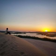 امیررضا بهرامنی avatar