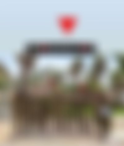 Post media background