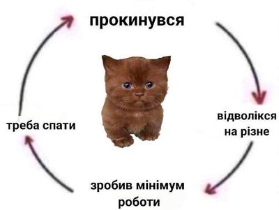 Post media