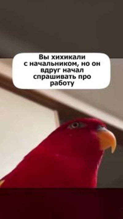 Post media