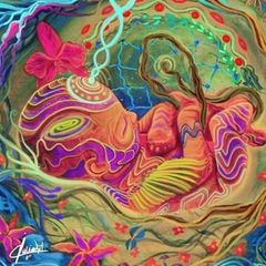 Bewusstwerdung - Wahrheitsfindung 🌺🌿🙏🏻♾🕉️👌🏼 avatar
