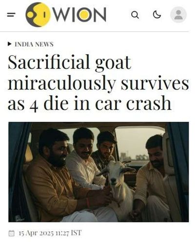 Post media