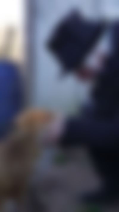 Post media background
