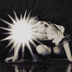 allion + kin flags avatar