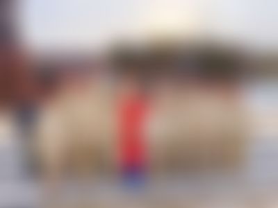 Post media background