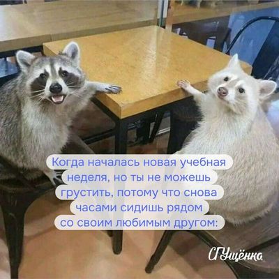 Post media