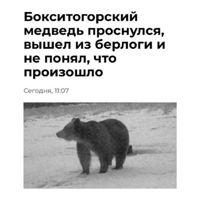 Post media
