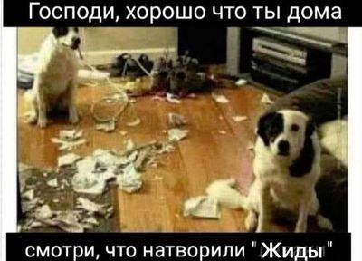 Post media