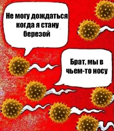 Post media