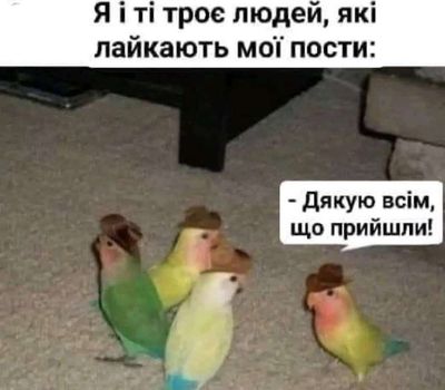 Post media
