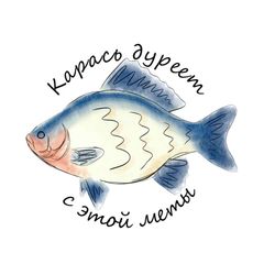 карась дуреет с этой меты avatar