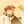 Egrassel and Lololoshka Blog avatar