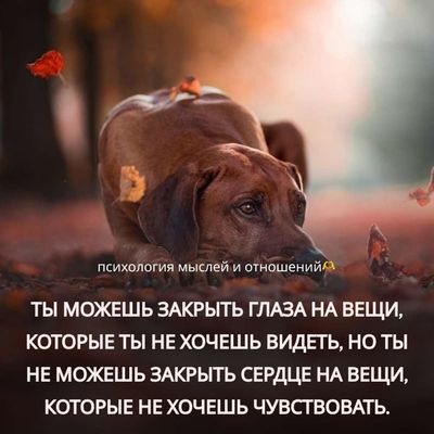 Post media