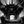 Cats confession avatar