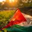 - مُحَمِد المٌشِيطٌيِ🇵🇸🇱🇾. Avatar