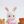 neko♡miffy avatar