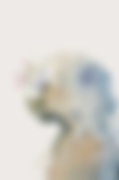 Post media background