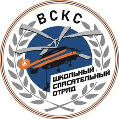 Школьные спасательные отряды ВСКС avatar