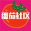 番茄社区 Avatar