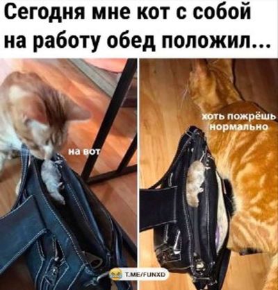 Post media