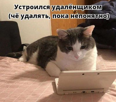 Post media