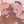 ꪆৎ Fenxter confession ! avatar
