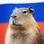 Капибарач Avatar
