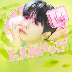 𝑳𝒊𝒏𝒐𝒔 𝒔𝒉𝒐𝒑 🎸 avatar
