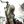Assassin's Creed Confessions avatar