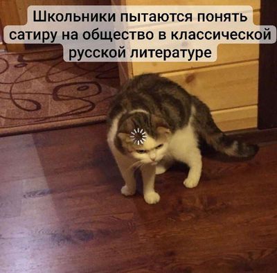 Post media