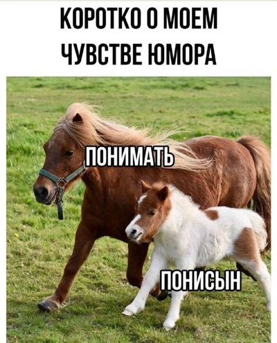 Post media