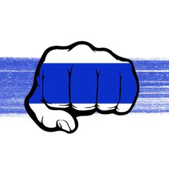 Движение «Свобода России» avatar