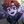 ﹫𝑳𝒐𝒍𝒐𝒍𝒐𝒘𝒌𝒂. avatar