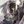 @ you / her - duo ( ! ) avatar