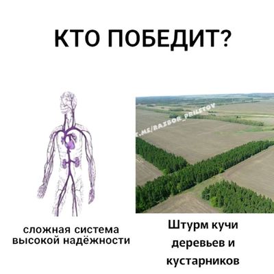 Post media