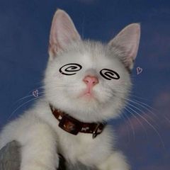 🐈‍⬛~ŤĤĘ ŦŘŪÊ ÇÃŢŁĀŊÐ~🐾 (сетка по котикам) avatar