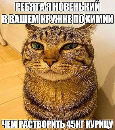 Post media
