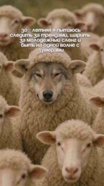 Post media