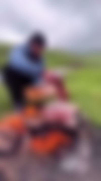 Post media background