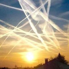 Nederland Wordt Wakker avatar