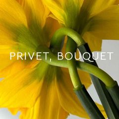 Privet, bouquet avatar