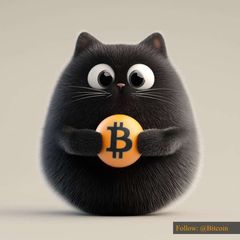 BITCAT CTO - Bitcoin’s Mascot avatar