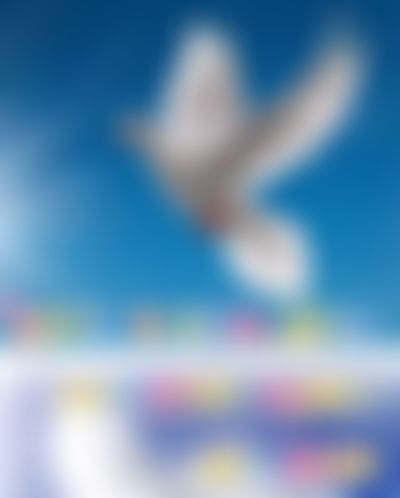 Post media background