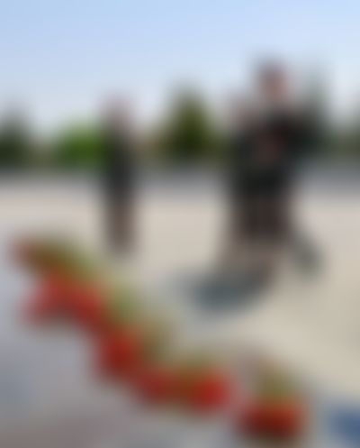 Post media background