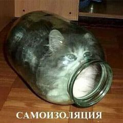 маленькие мем кф! avatar