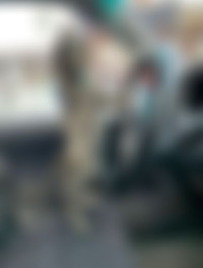 Post media background