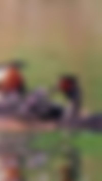 Post media background