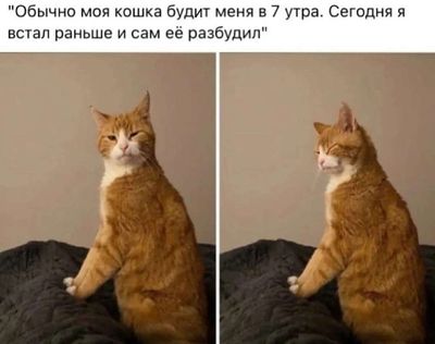 Post media