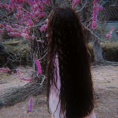 ᴅᴜᴇʟsᴛᴇꜰꜰɪᴀs🪽 avatar